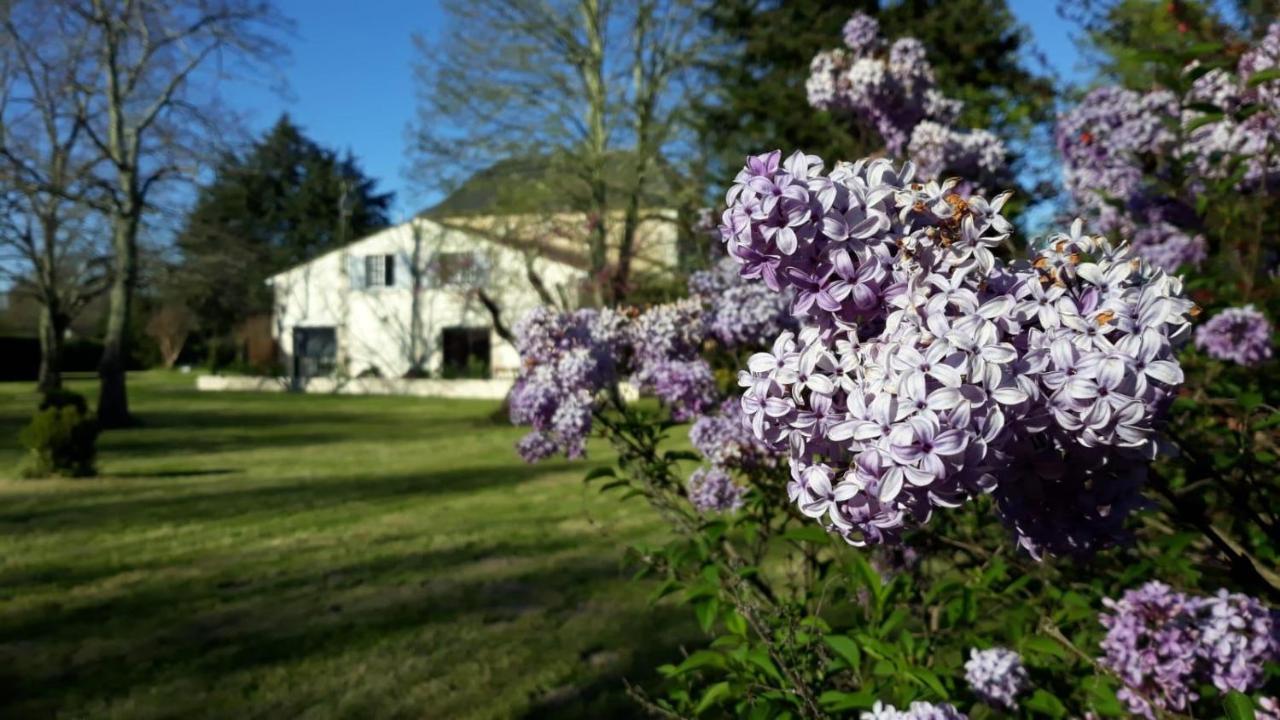 La Maison Du Champ De Beaumont Galgon Εξωτερικό φωτογραφία
